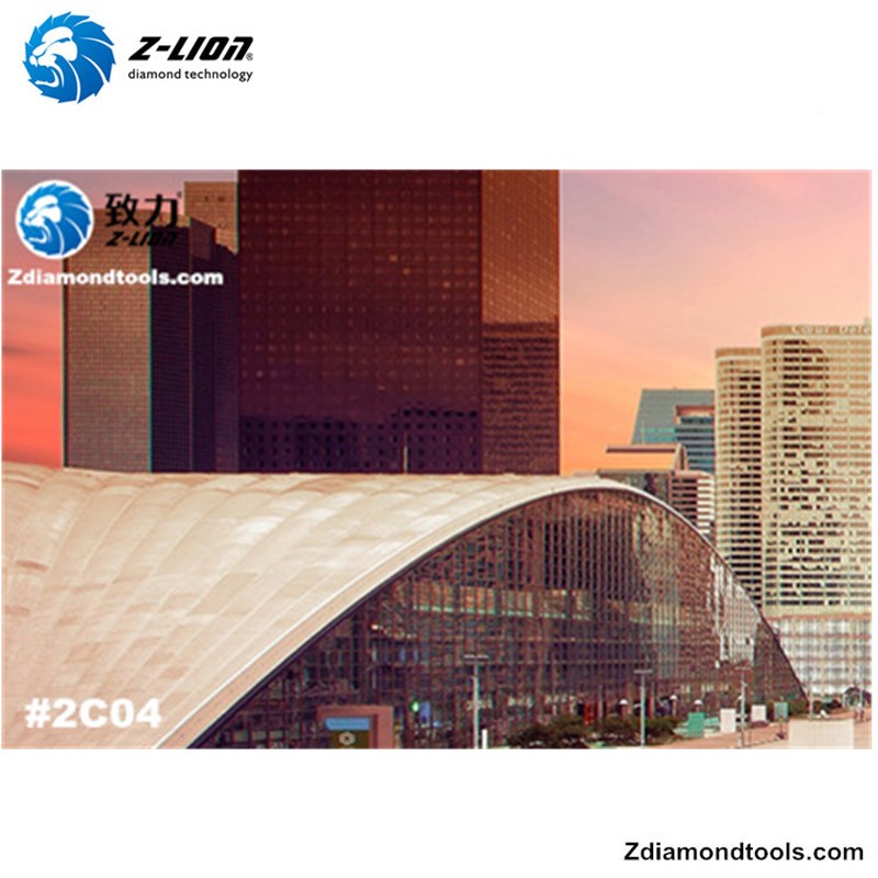 2019 Η 10η έκθεση επιφάνειας στίλβωσης Κίνα # Z-LION DIAMOND TOOLS